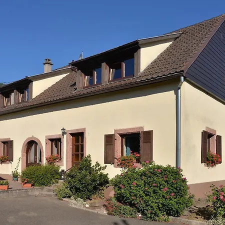 Au Gre Des Saisons Appartement Thannenkirch Buitenkant foto