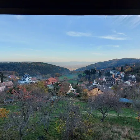 Au Gre Des Saisons Appartement Thannenkirch Buitenkant foto