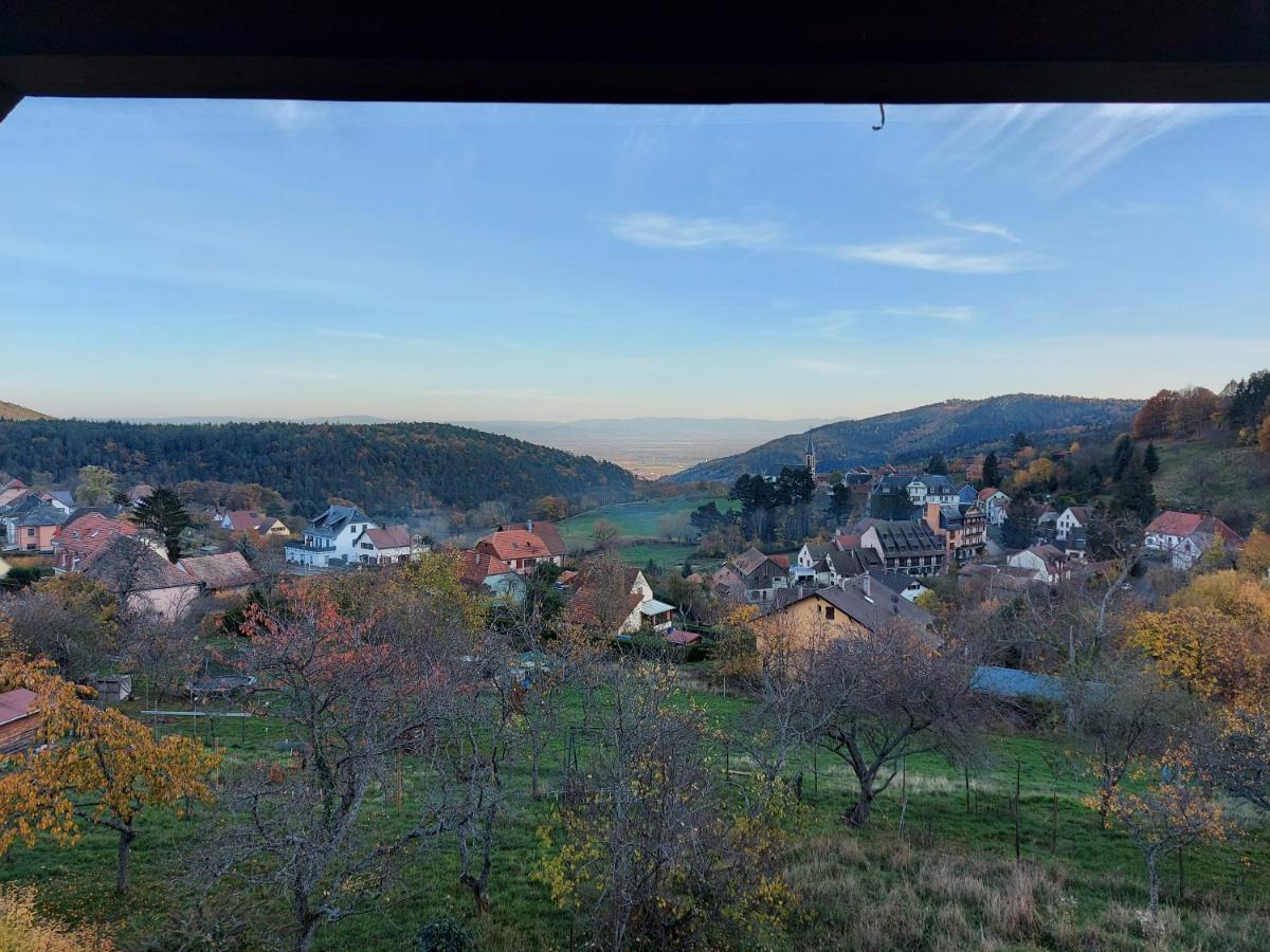 Apartamento Au Gre Des Saisons Thannenkirch